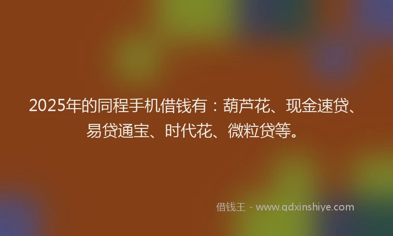 2025年的同程手机借钱有：葫芦花、现金速贷、易贷通宝、时代花、微粒贷等。