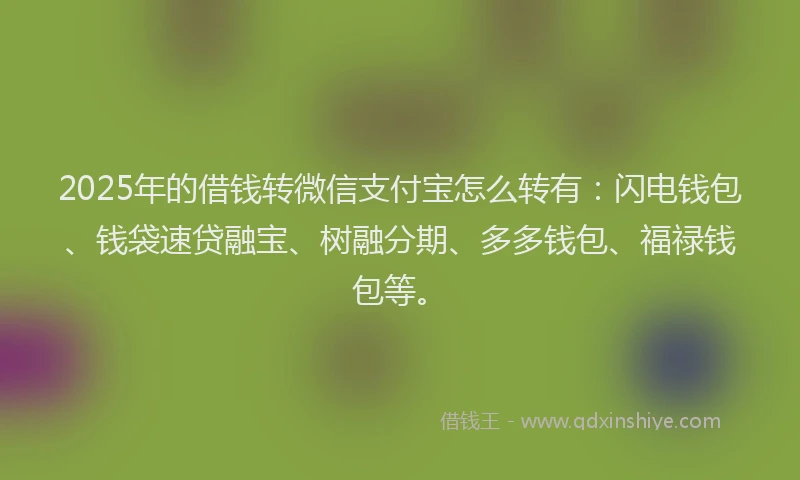 2025年的借钱转微信支付宝怎么转有：闪电钱包、钱袋速贷融宝、树融分期、多多钱包、福禄钱包等。