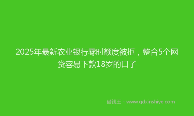 2025年最新农业银行零时额度被拒，整合5个网贷容易下款18岁的口子