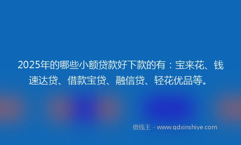 2025年的哪些小额贷款好下款的有：宝来花、钱速达贷、借款宝贷、融信贷、轻花优品等。