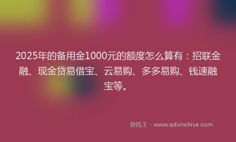 2025年的备用金1000元的额度怎么算有：招联金融、现金贷易借宝、云易购、多多易购、钱速融宝等。