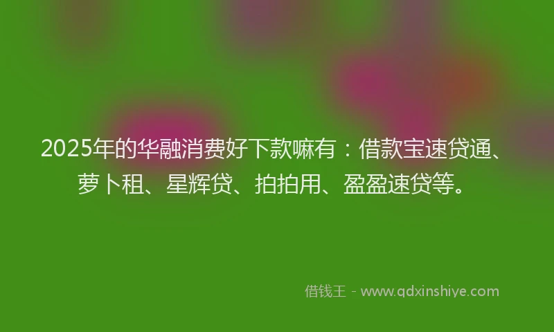 2025年的华融消费好下款嘛有：借款宝速贷通、萝卜租、星辉贷、拍拍用、盈盈速贷等。