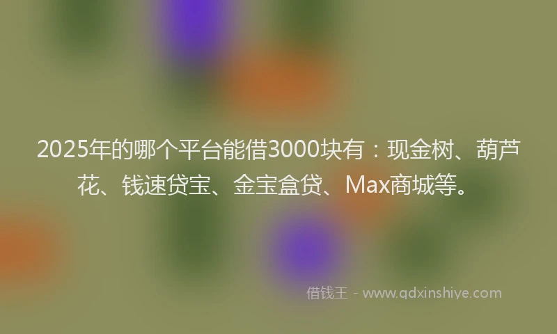 2025年的哪个平台能借3000块有：现金树、葫芦花、钱速贷宝、金宝盒贷、Max商城等。