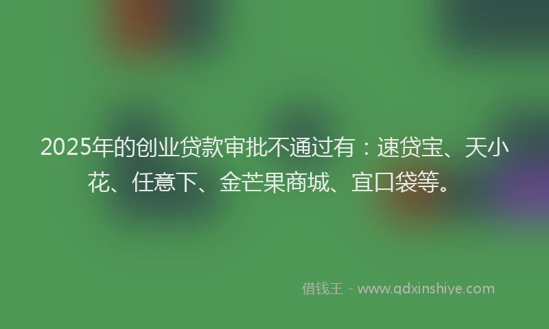 2025年的创业贷款审批不通过有：速贷宝、天小花、任意下、金芒果商城、宜口袋等。