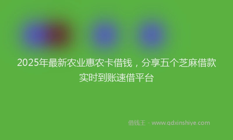 2025年最新农业惠农卡借钱，分享五个芝麻借款实时到账速借平台