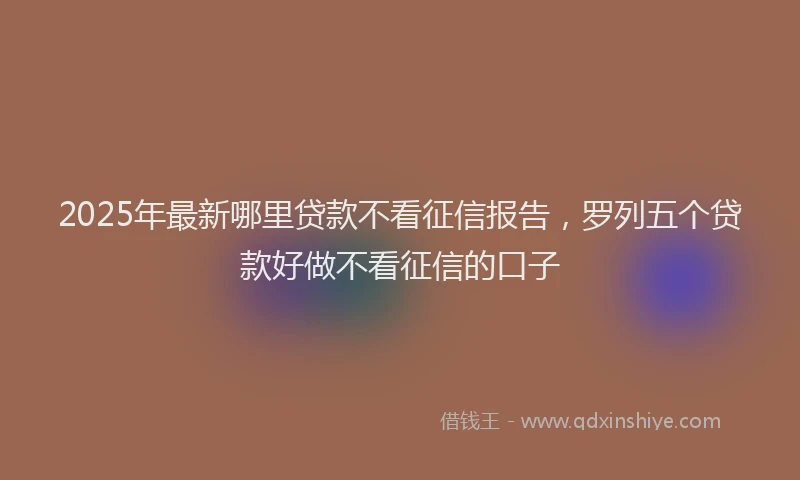 2025年最新哪里贷款不看征信报告，罗列五个贷款好做不看征信的口子