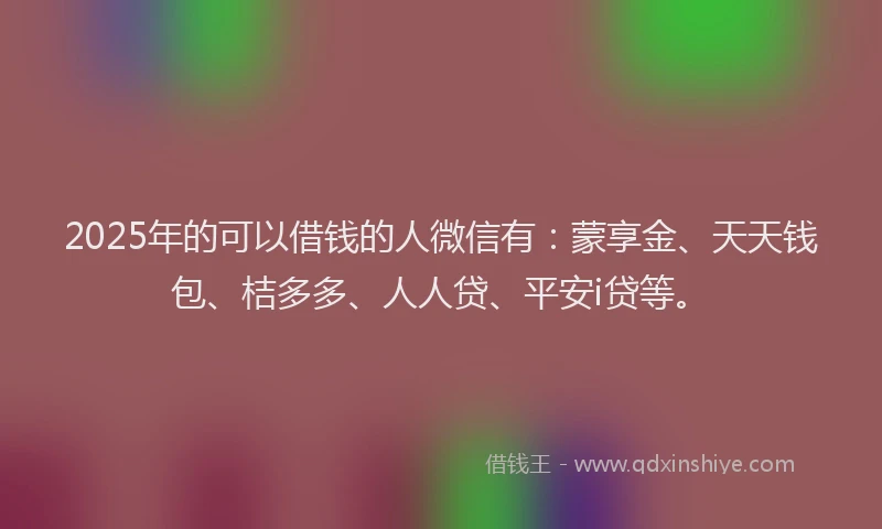 2025年的可以借钱的人微信有：蒙享金、天天钱包、桔多多、人人贷、平安i贷等。