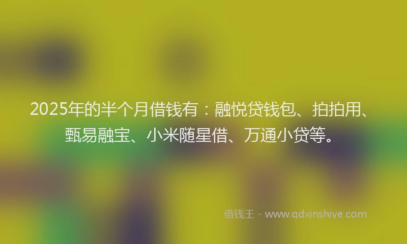 2025年的半个月借钱有：融悦贷钱包、拍拍用、甄易融宝、小米随星借、万通小贷等。