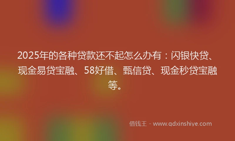 2025年的各种贷款还不起怎么办有：闪银快贷、现金易贷宝融、58好借、甄信贷、现金秒贷宝融等。