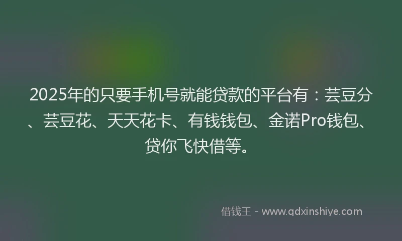2025年的只要手机号就能贷款的平台有：芸豆分、芸豆花、天天花卡、有钱钱包、金诺Pro钱包、贷你飞快借等。