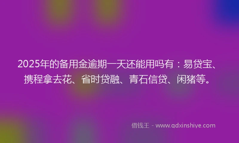 2025年的备用金逾期一天还能用吗有：易贷宝、携程拿去花、省时贷融、青石信贷、闲猪等。
