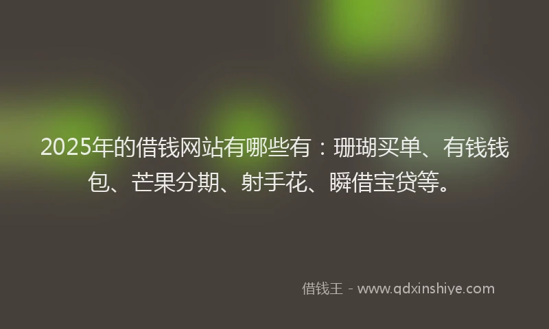2025年的借钱网站有哪些有：珊瑚买单、有钱钱包、芒果分期、射手花、瞬借宝贷等。