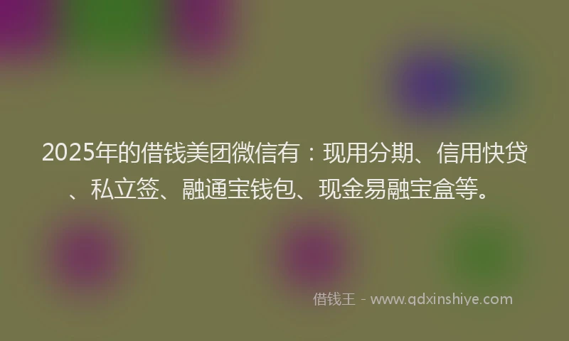 2025年的借钱美团微信有：现用分期、信用快贷、私立签、融通宝钱包、现金易融宝盒等。