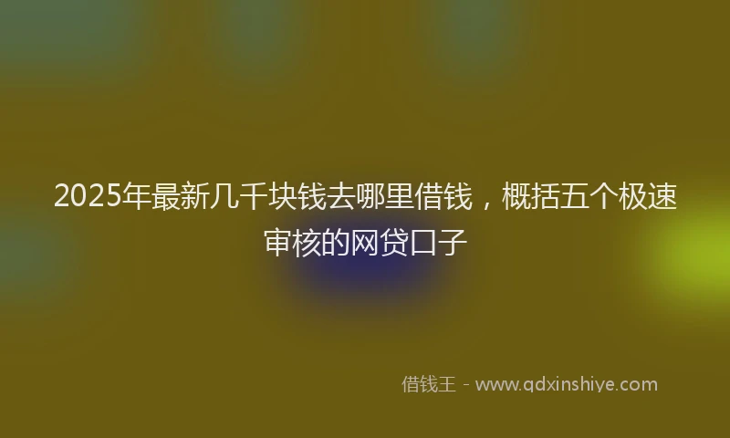 2025年最新几千块钱去哪里借钱，概括五个极速审核的网贷口子
