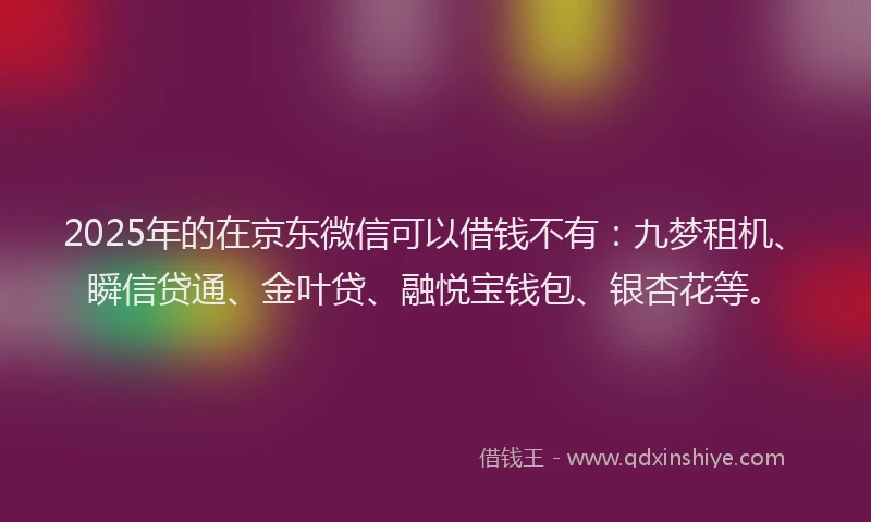 2025年的在京东微信可以借钱不有：九梦租机、瞬信贷通、金叶贷、融悦宝钱包、银杏花等。