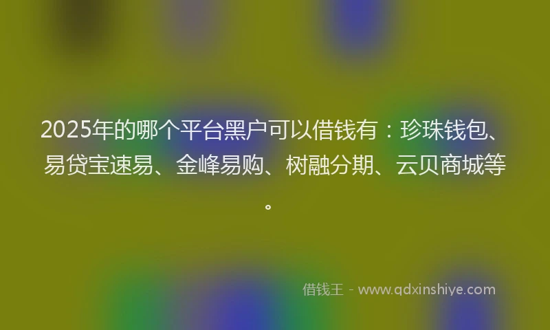 2025年的哪个平台黑户可以借钱有：珍珠钱包、易贷宝速易、金峰易购、树融分期、云贝商城等。