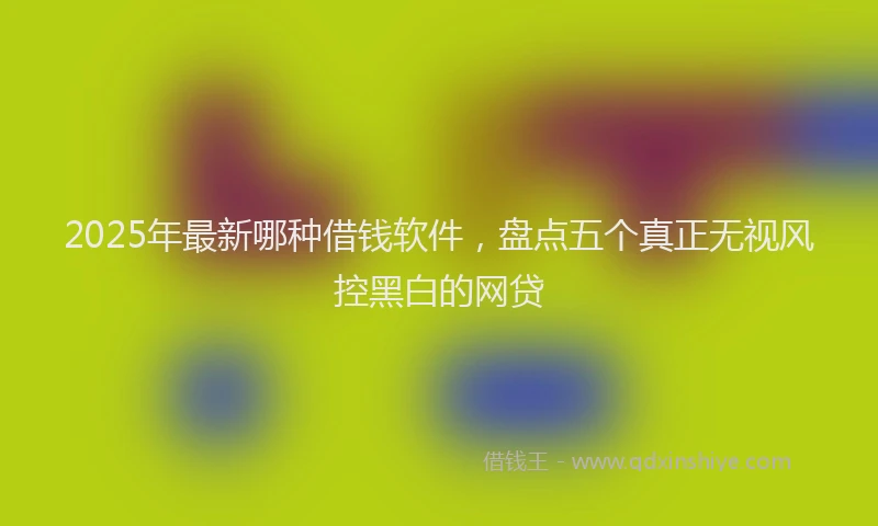 2025年最新哪种借钱软件，盘点五个真正无视风控黑白的网贷