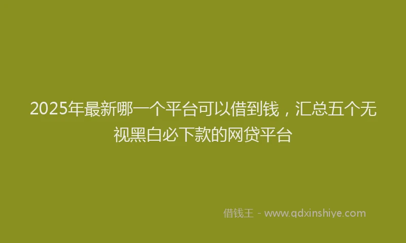 2025年最新哪一个平台可以借到钱，汇总五个无视黑白必下款的网贷平台