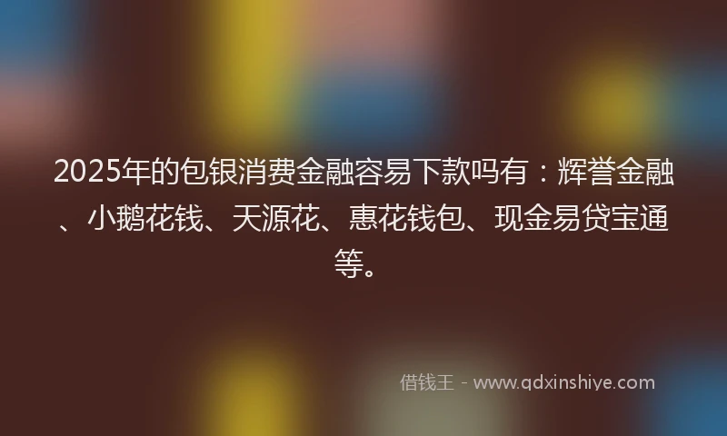 2025年的包银消费金融容易下款吗有：辉誉金融、小鹅花钱、天源花、惠花钱包、现金易贷宝通等。