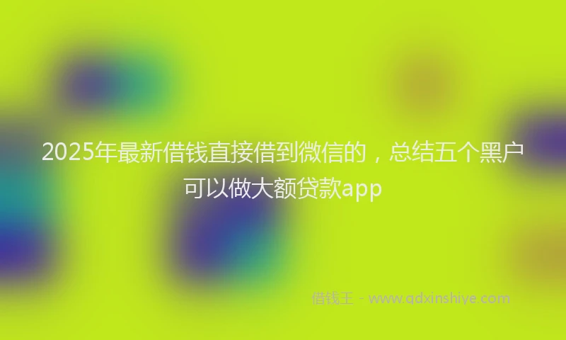 2025年最新借钱直接借到微信的，总结五个黑户可以做大额贷款app