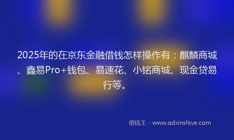 2025年的在京东金融借钱怎样操作有：麒麟商城、鑫易Pro+钱包、易速花、小铭商城、现金贷易行等。