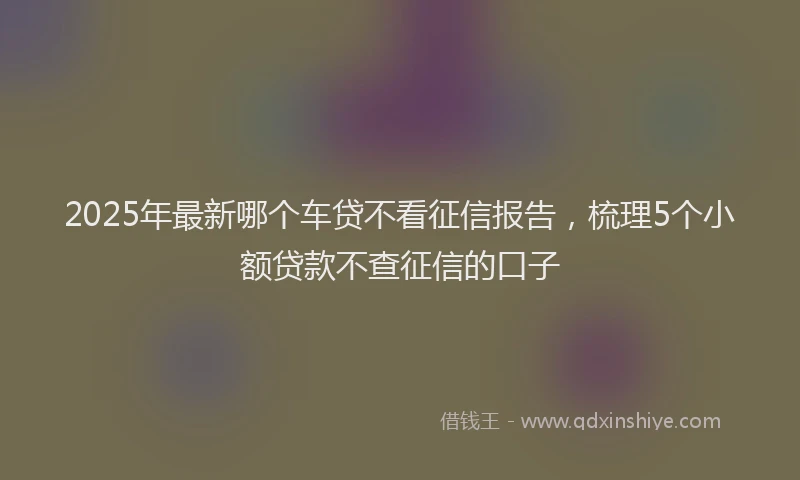 2025年最新哪个车贷不看征信报告，梳理5个小额贷款不查征信的口子