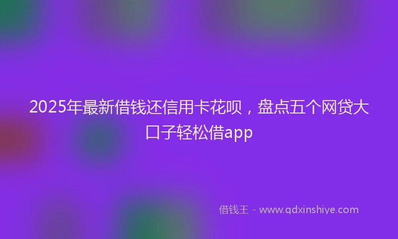 2025年最新借钱还信用卡花呗，盘点五个网贷大口子轻松借app