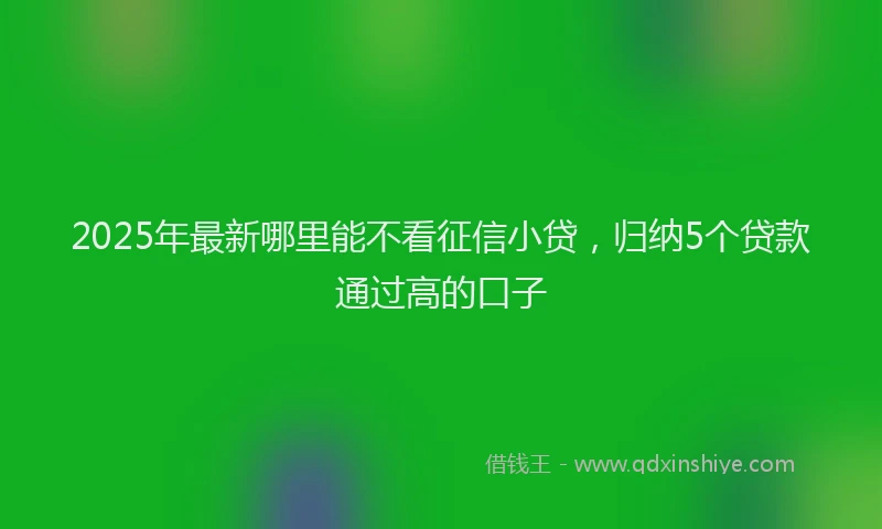 2025年最新哪里能不看征信小贷，归纳5个贷款通过高的口子
