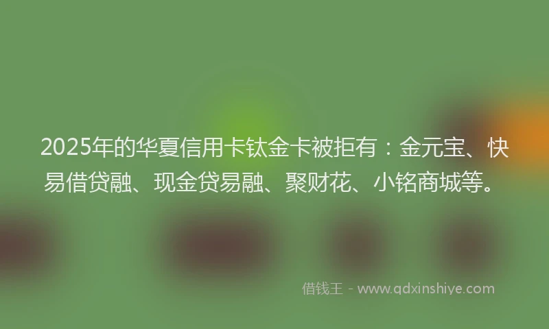 2025年的华夏信用卡钛金卡被拒有：金元宝、快易借贷融、现金贷易融、聚财花、小铭商城等。