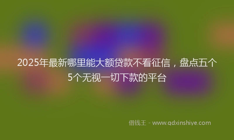2025年最新哪里能大额贷款不看征信，盘点五个5个无视一切下款的平台