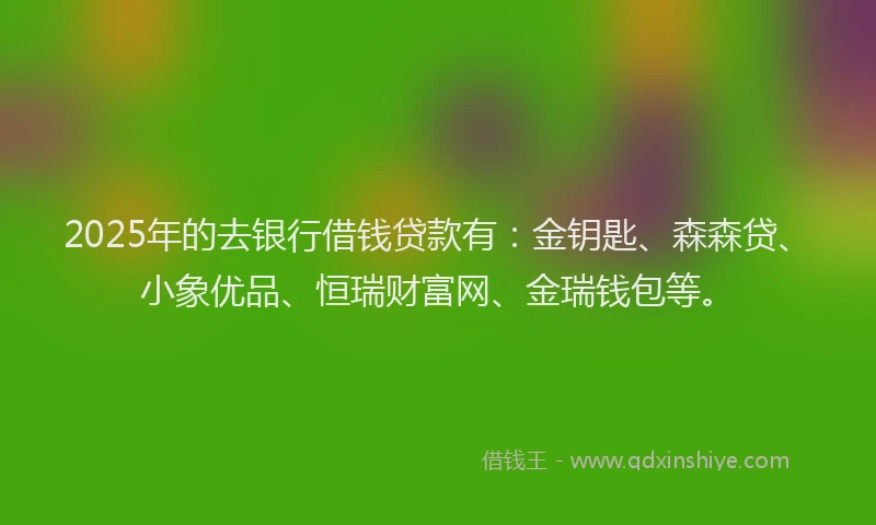2025年的去银行借钱贷款有：金钥匙、森森贷、小象优品、恒瑞财富网、金瑞钱包等。