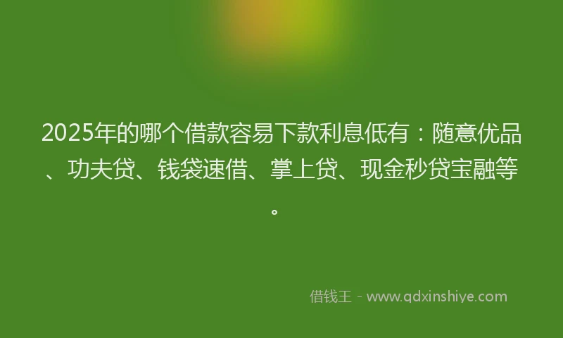2025年的哪个借款容易下款利息低有：随意优品、功夫贷、钱袋速借、掌上贷、现金秒贷宝融等。