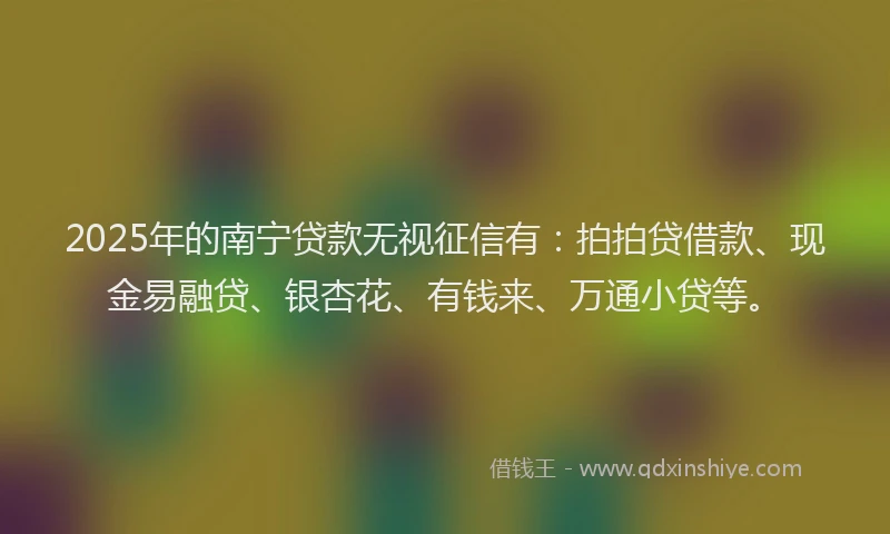 2025年的南宁贷款无视征信有：拍拍贷借款、现金易融贷、银杏花、有钱来、万通小贷等。