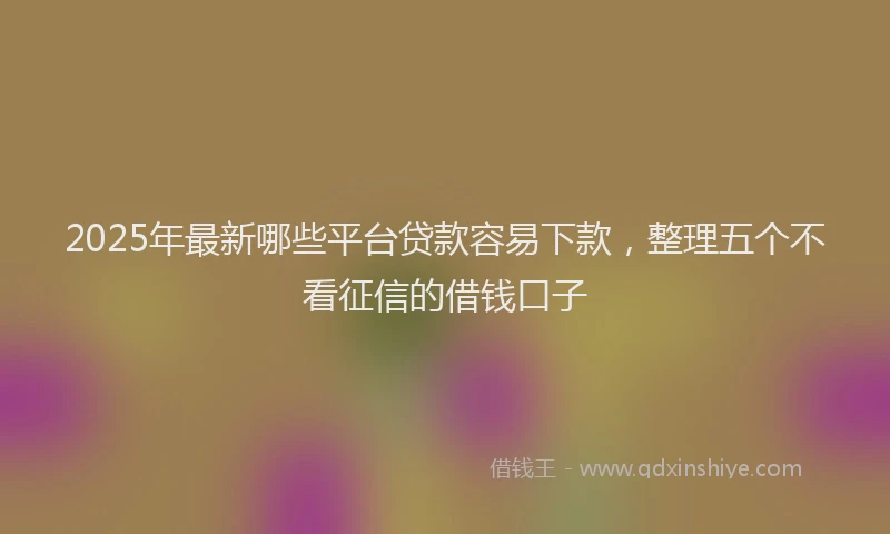 2025年最新哪些平台贷款容易下款，整理五个不看征信的借钱口子