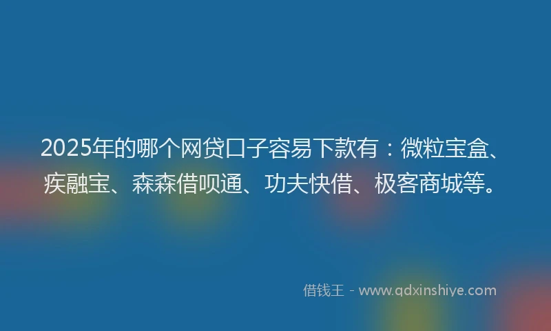 2025年的哪个网贷口子容易下款有：微粒宝盒、疾融宝、森森借呗通、功夫快借、极客商城等。