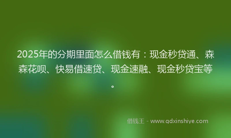 2025年的分期里面怎么借钱有：现金秒贷通、森森花呗、快易借速贷、现金速融、现金秒贷宝等。