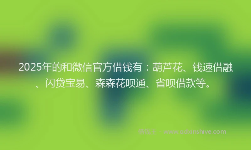 2025年的和微信官方借钱有：葫芦花、钱速借融、闪贷宝易、森森花呗通、省呗借款等。