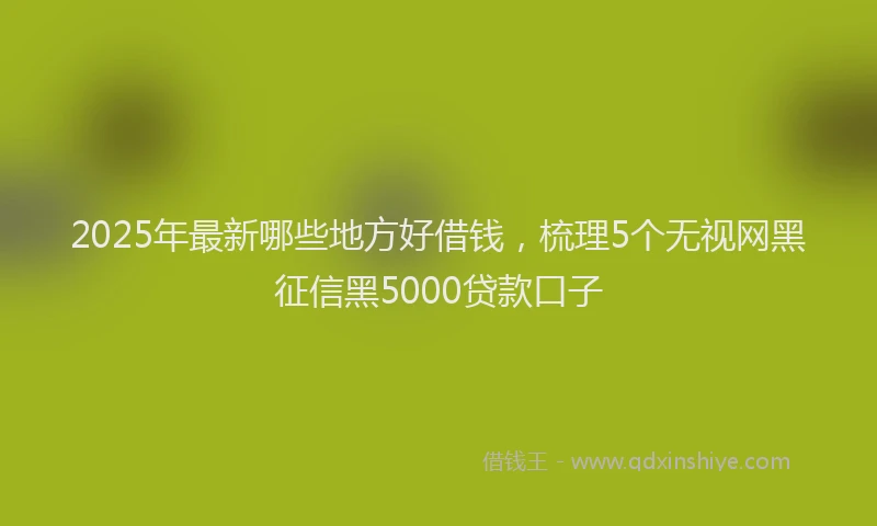 2025年最新哪些地方好借钱，梳理5个无视网黑征信黑5000贷款口子
