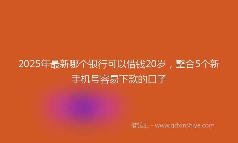 2025年最新哪个银行可以借钱20岁，整合5个新手机号容易下款的口子