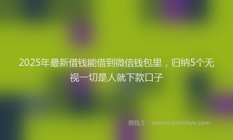 2025年最新借钱能借到微信钱包里，归纳5个无视一切是人就下款口子