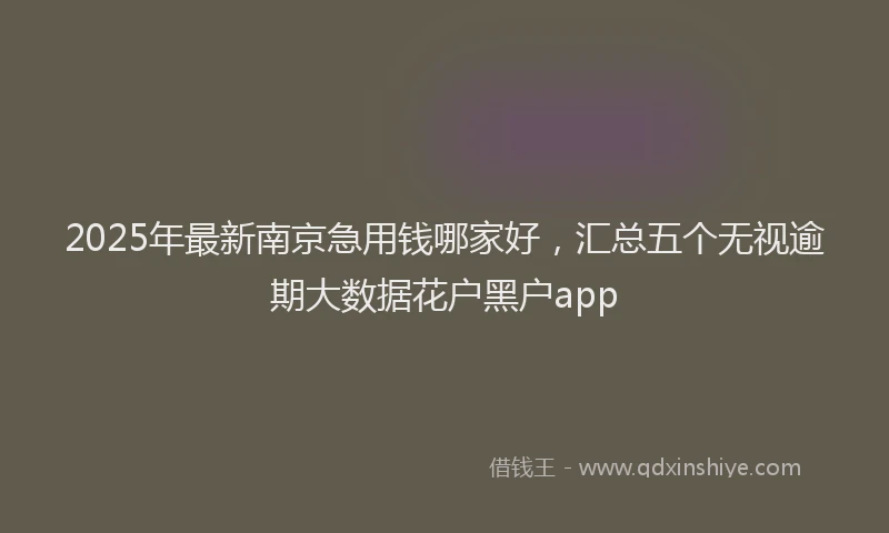 2025年最新南京急用钱哪家好，汇总五个无视逾期大数据花户黑户app