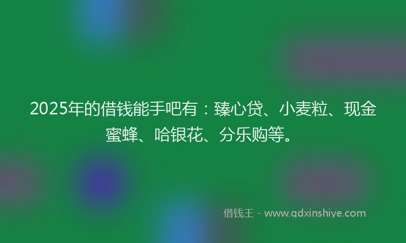 2025年的借钱能手吧有：臻心贷、小麦粒、现金蜜蜂、哈银花、分乐购等。