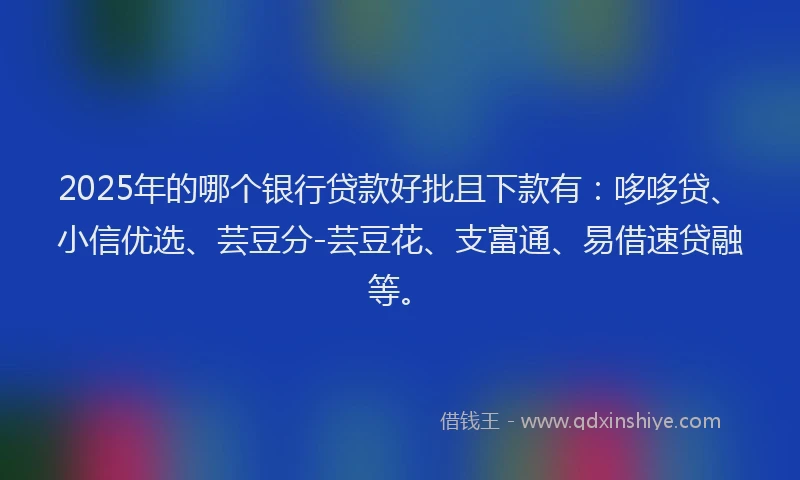 2025年的哪个银行贷款好批且下款有：哆哆贷、小信优选、芸豆分-芸豆花、支富通、易借速贷融等。
