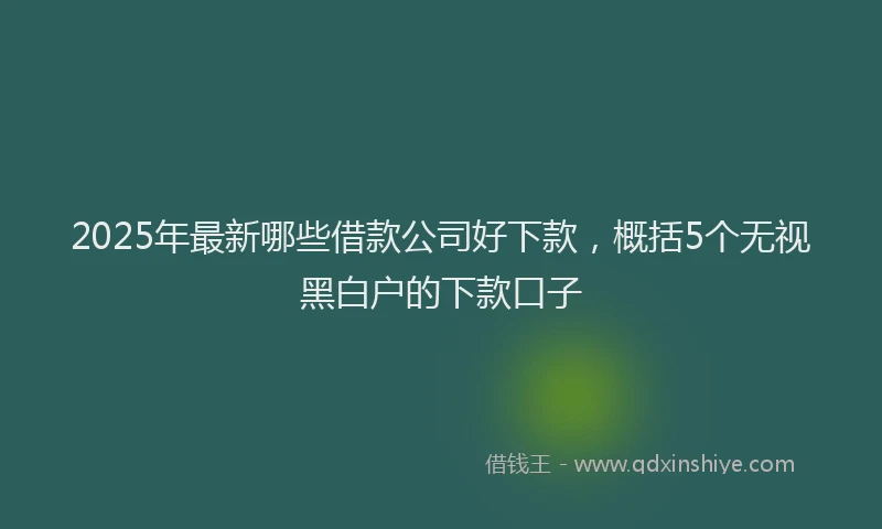 2025年最新哪些借款公司好下款，概括5个无视黑白户的下款口子