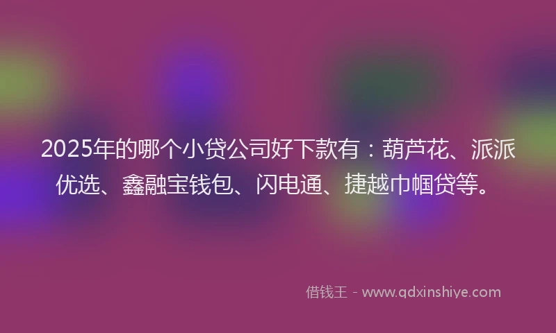 2025年的哪个小贷公司好下款有：葫芦花、派派优选、鑫融宝钱包、闪电通、捷越巾帼贷等。
