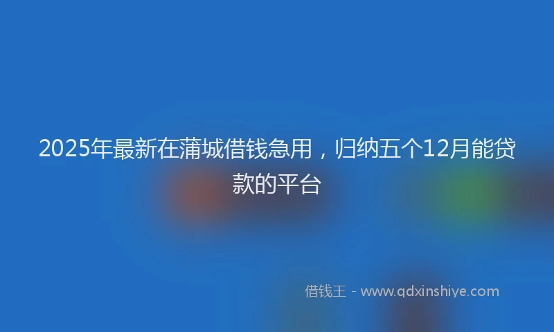 2025年最新在蒲城借钱急用，归纳五个12月能贷款的平台