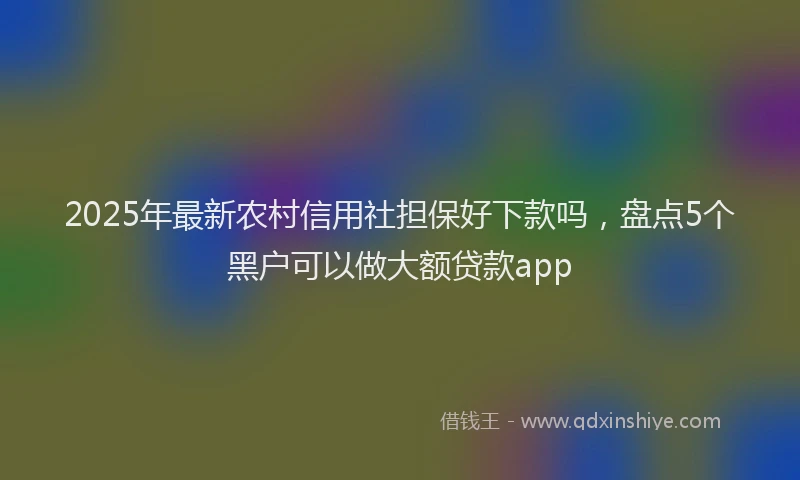 2025年最新农村信用社担保好下款吗，盘点5个黑户可以做大额贷款app