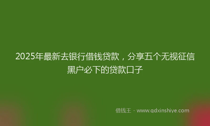 2025年最新去银行借钱贷款，分享五个无视征信黑户必下的贷款口子