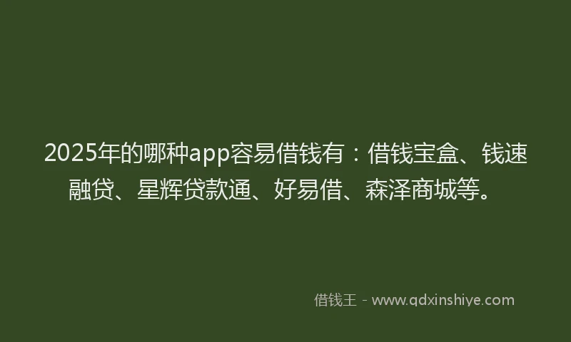 2025年的哪种app容易借钱有：借钱宝盒、钱速融贷、星辉贷款通、好易借、森泽商城等。