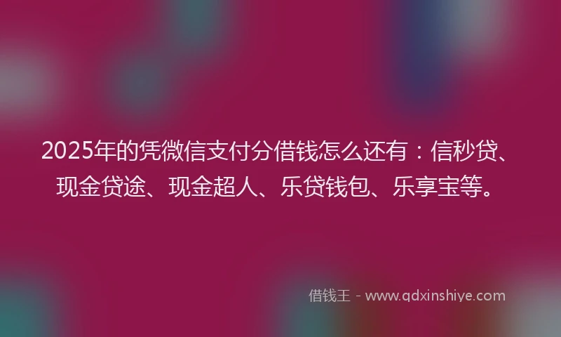 2025年的凭微信支付分借钱怎么还有：信秒贷、现金贷途、现金超人、乐贷钱包、乐享宝等。